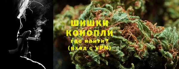ГАЛЛЮЦИНОГЕННЫЕ ГРИБЫ Балабаново
