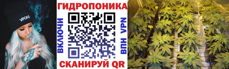 Канабис THC 21%  Чернушка 